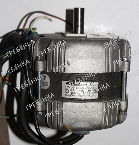 Двигатель привода дверей REVECO (MOD. TIPO 125/40 IEC-34 RPM-400 V230 3Ph 50Hz) лифта MacPuarsa (MP)