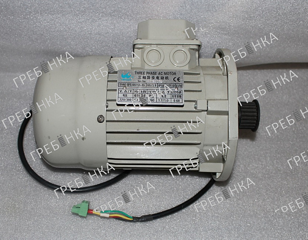 Двигатель MS7126/B5 WENDER (SIGMA OTIS LG)